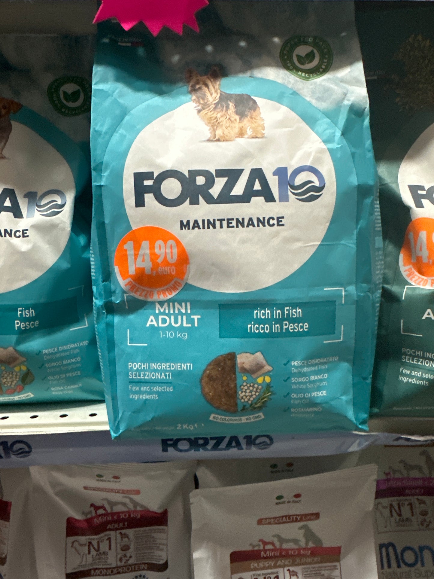 Forza 10 mantenimento mini