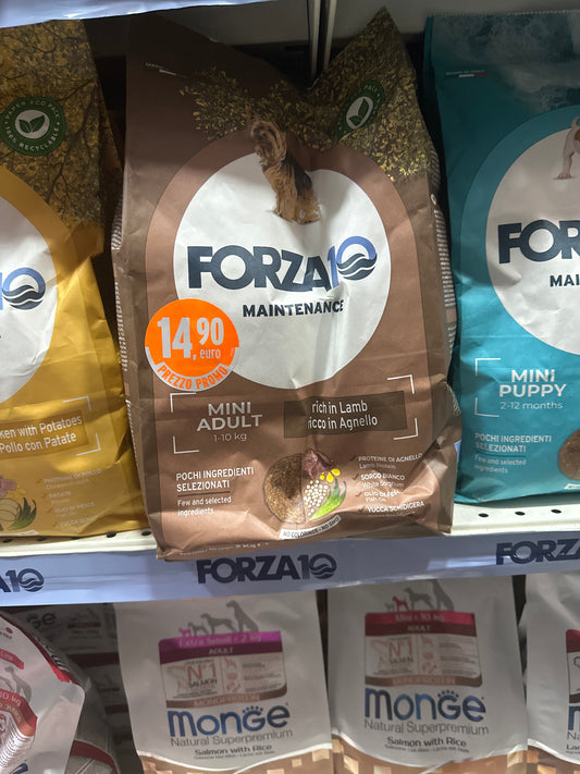 Forza 10 mantenimento mini