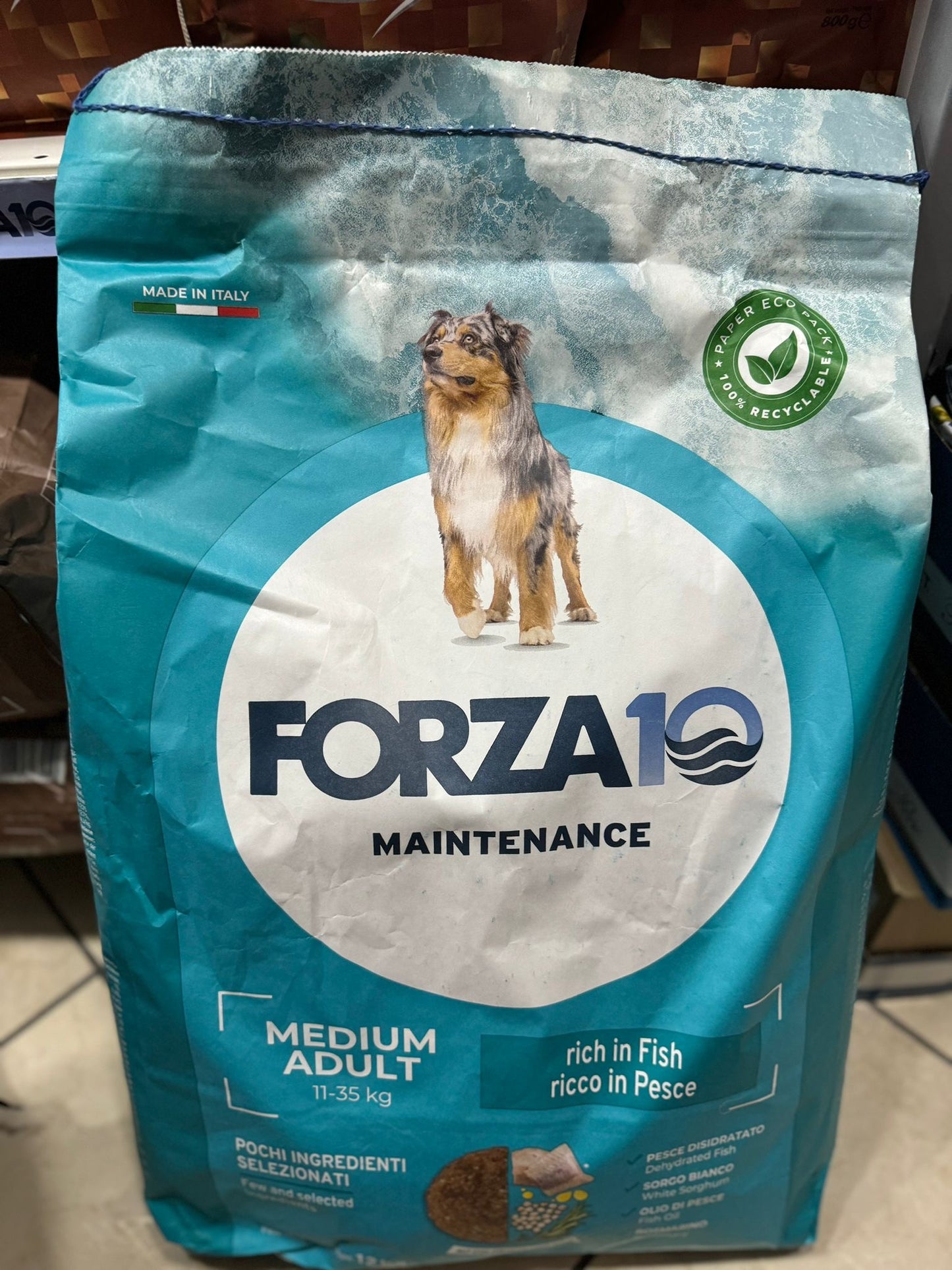 Forza10 Maintenance Medium Adult al Pesce Crocchette cane