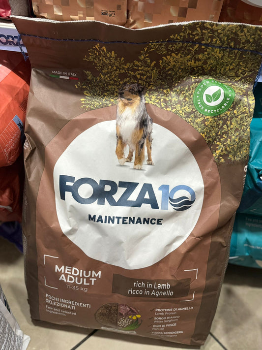 Forza10 Maintenance Medium Adult all'Agnello con Riso Crocchette cane